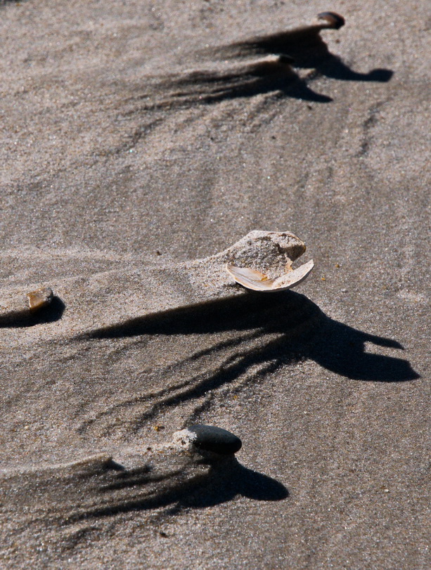 Hvide_Sande_2015_3591