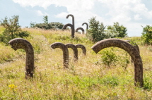 db_RuegenSchnorchel_57561