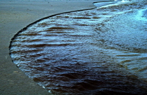 db_Vejerssand1_2012_025blauwww1